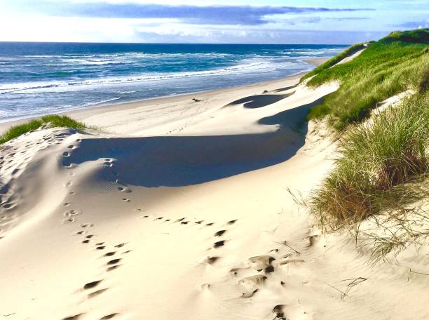 footprints in the sand - sea zen like landscape water imagens e fotografias de stock