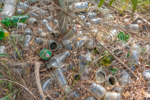 istock Irregular disposal of glass containers in the environment. Environmental disaster 1311113989