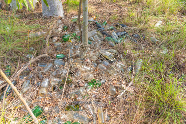 istock Irregular disposal of glass containers in the environment. Environmental disaster 1311113992