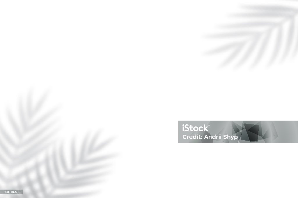 Feuille brouillée tropicale. Effet transparent de superposition légère. - clipart vectoriel de Feuille de palmier libre de droits Feuille brouillée tropicale. Effet transparent de superposition légère. - clipart vectoriel de Feuille de palmier libre de droits