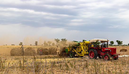 India  Farmer Harvesting Crops in thrashing machine.beautiful clouds in background