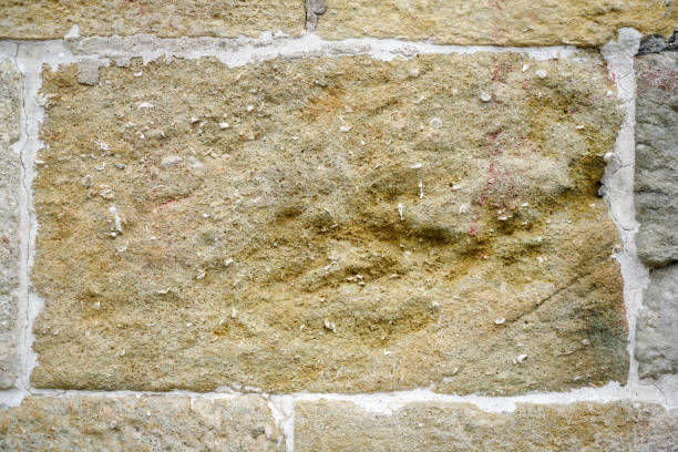 This is a structure of a stone as a pavement slab or as a brick