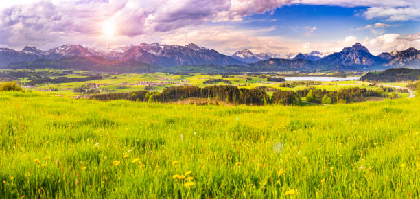 beautiful panoramic landscape in Bavaria, Germany beautiful panoramic landscape in Bavaria, Germany forggensee lake photos stock pictures, royalty-free photos & images