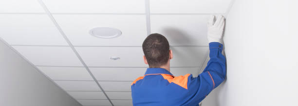 istock ceiling installation wizard, finishes the job, fixes the plate 1311119529