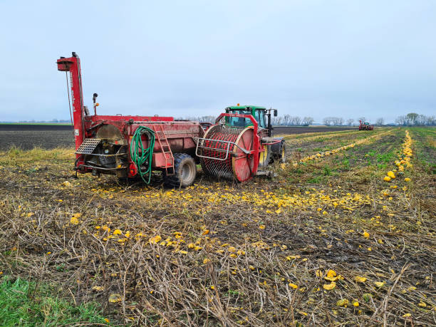 österreich, landwirtschaft, ernte - horizonatl stock-fotos und bilder