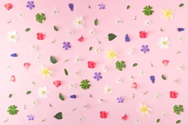 Scattered colorful flowers and leaves on a pink background.