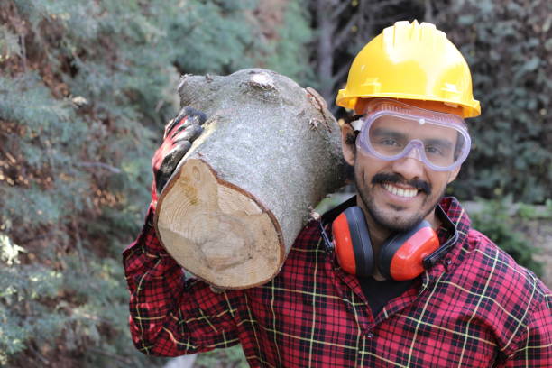 istock Logger holding heavy trunk in the forest 1311124010