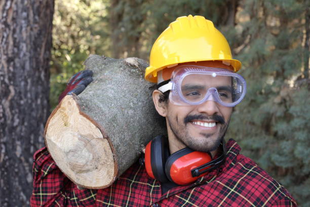 istock Logger holding heavy trunk in the forest 1311124017
