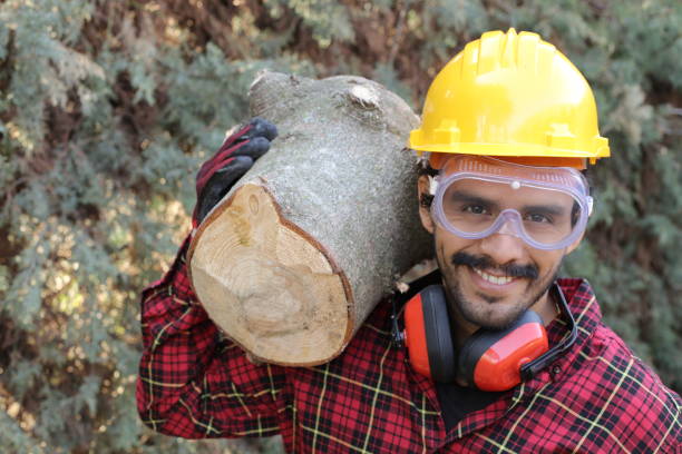 istock Logger holding heavy trunk in the forest 1311124078