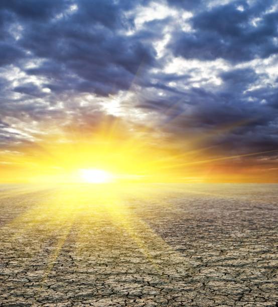 istock dry cracked earth at the sunset 1311125235