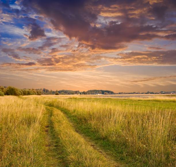 istock evening rural landscape road among a fields 1311125268