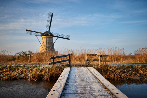 A windmill in Kinderdijk along the waterline. The sky is clear blue with some thin clouds. There is high grass in front of the windmill and the bridge over the water is covered in snow during this cold morning.