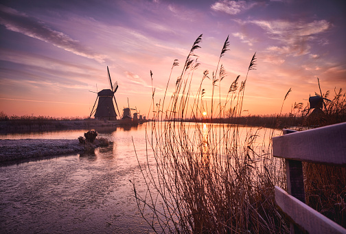 Traditional windmills standing along the waterline in Kinderdijk. The sky is colored in wonderful colors by the rising sun. The colors of the sky are reflected by the water.