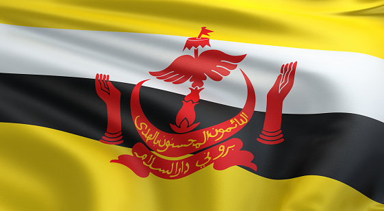 3d render Brunei flag (close-up)