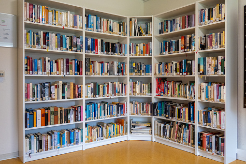 The bookshelf where books are stored in the library