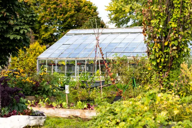 Photo of outside of a greenhouse