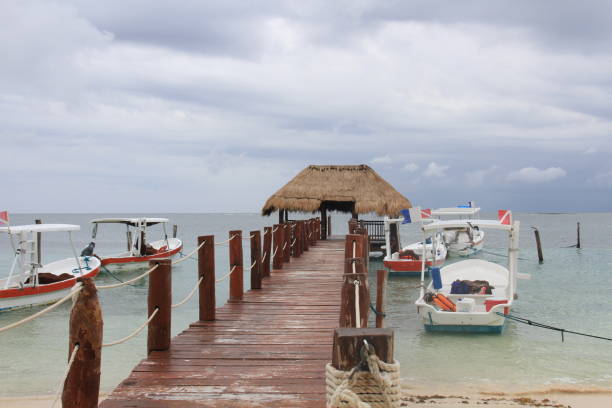 istock Pier of Puerto Morelos 1311127698