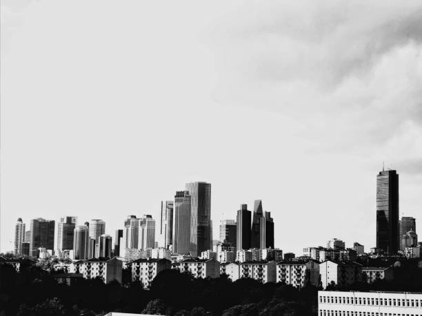 İstanbul'un Levent'teki lüks, devasa gökdelenleri ve onların önünde çok daha mutevazi boyutlardaki askeriye toplu konutları ve onların da önünde şehrin özellikle merkezlerde aç kaldığı yeşil alan (İTÜ Ayazağa Yerleşkesi)... Bir fotoğrafla İstanbul'u ve son 60 yıldaki yolculuğunu anlat deseler herhalde bu fotoğrafı çeker, koyardım önlerine. İstanbul'daki beyaz yakanın yaşamı deseler, yine herhalde bunu koyabilirdim. İstanbul'un değişen silüeti bu. İstanbul'un evrimsel sürecidir bence bu fotoğraf. Her bir ritimle, vuruşla, beatle aşağı yukarı oynayan frekans göstergesi gibi dizilmiş gökdelenler sanki bu şehrin değişmiş ve değişmeye devam eden ritmidir...
