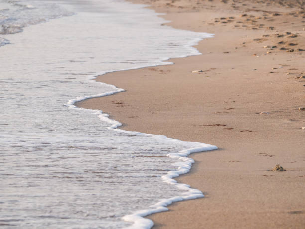 Sea water foam on the sandy beach