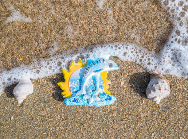 tenerife souvenir on the sand beach between two seashells.travel tourism concept - shell sea souvenir island imagens e fotografias de stock