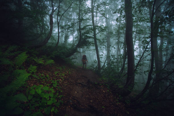 Hiker on the walk in the mysterious forest