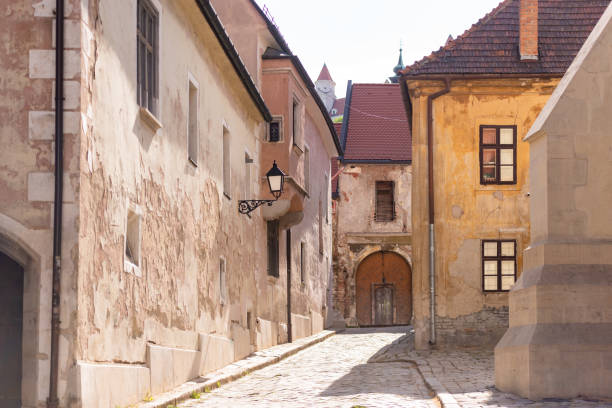 istock Bratislava in the spring of 2020 1311135238