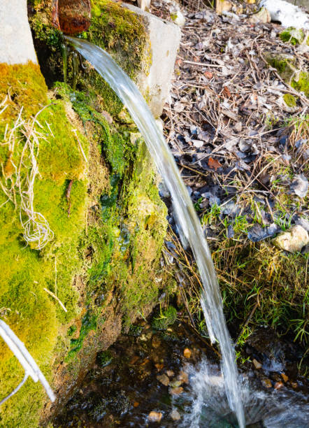 istock stream of clean spring water 1311136660