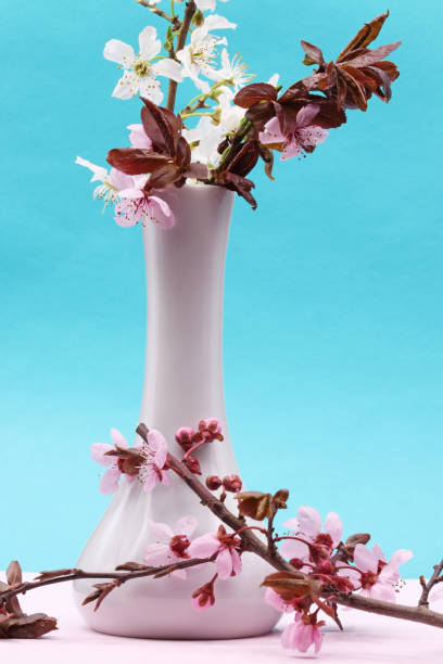 istock cherry blossom in a vase 1311136935