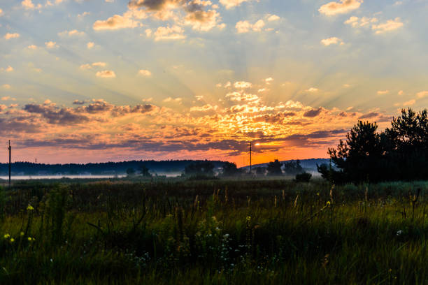 istock Fog on a meadow in morning on summer 1311137167