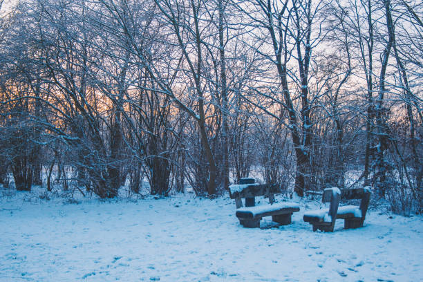 istock Sunset in city park 1311139415