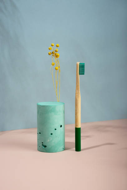 istock Modern still life.Isometric diagonal projection. geometric green shapes, stands and podiums.yellow dried flowers.Zero waste, pastel blue and pink background. Eco friendly, sustainable lifestyle 1311140872