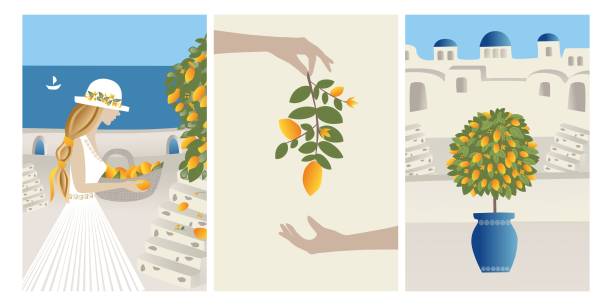 Vector Set Summer vacation theme and inspiration. Beautiful girl collects lemons from the tree into a basket.  Abstract place, village  in Santorini, Spain, Greece and Italy. Travel Vector illustrations and design vector art illustration