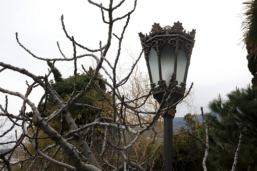 Old lantern at Chekhov's dacha
