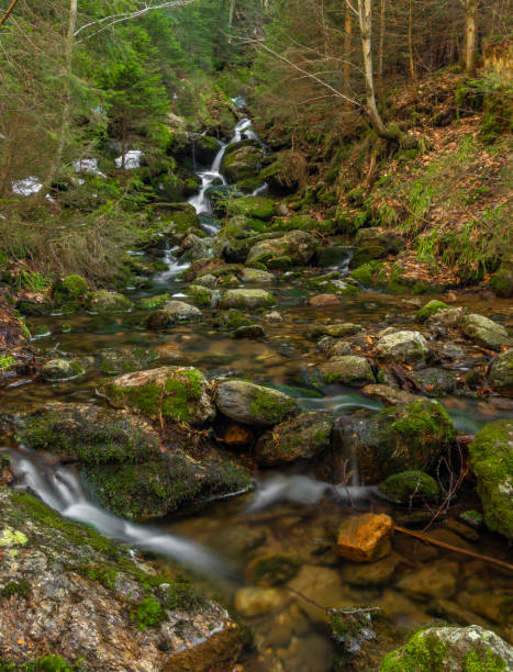 istock Cerna strz waterfall on Cerny creek in Sumava national park 1311144736
