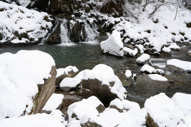 istock Waterfall on a mountain river in winter among the coniferous forest. Kamyanka waterfall. Carpathians. Ukraine. 1311144887