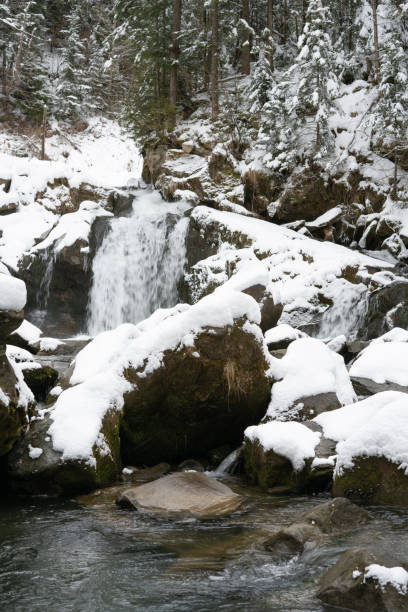istock Waterfall on a mountain river in winter among the coniferous forest. Kamyanka waterfall. Carpathians. Ukraine. 1311144899