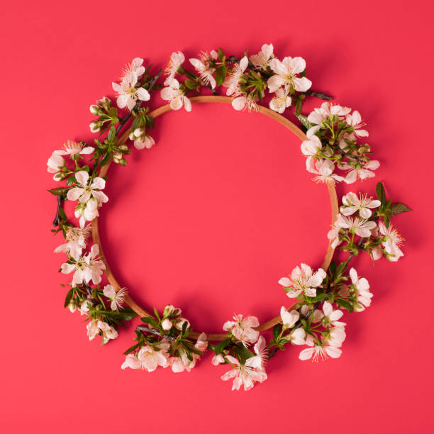 istock Blossom tree branches and wooden circle lay down on red background, flat lay minimal spring concept with round copy space 1311149855