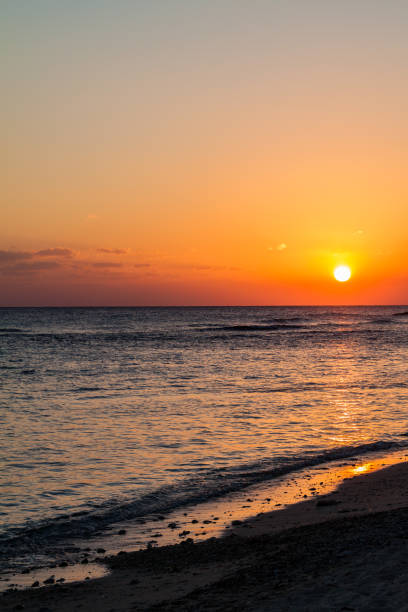 istock Sunset at Playa Giron beach, Cu 1311150534