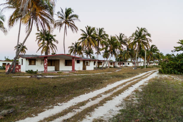 istock Seaside resort huts in Playa Giron village, Cub 1311150537