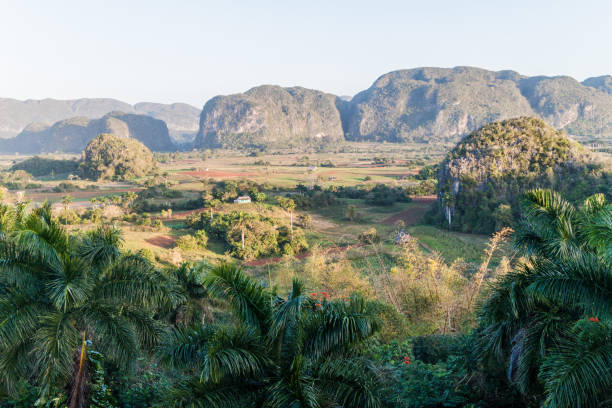 istock Morning view of Vinales valley with mogotes limestone hills , Cub 1311151663