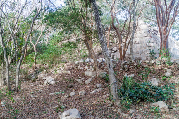 istock Ruins in ancient Mayan city Uxmal, Mexi 1311152493