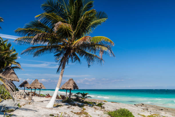 istock Perfect Caribbean beach in Tulum, Mexi 1311152554