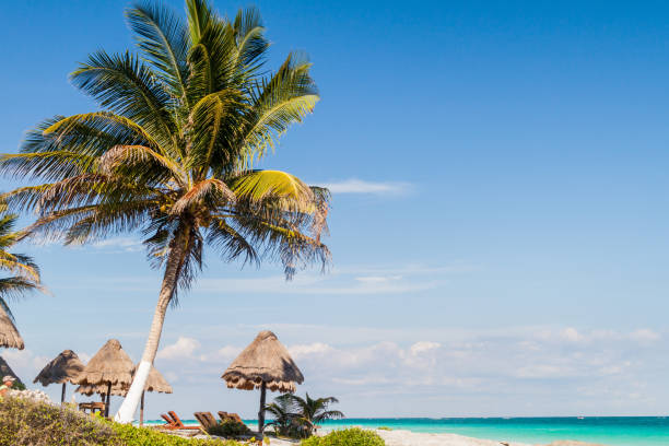 istock Perfect Caribbean beach in Tulum, Mexi 1311152557