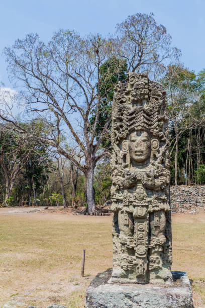 istock Stela at the archaeological site Copan, Hondur 1311153809