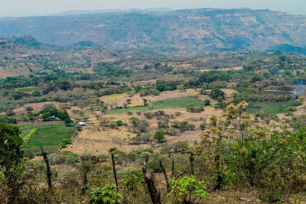 istock Landscape of Protected Area Miraflor, Nicarag 1311154038