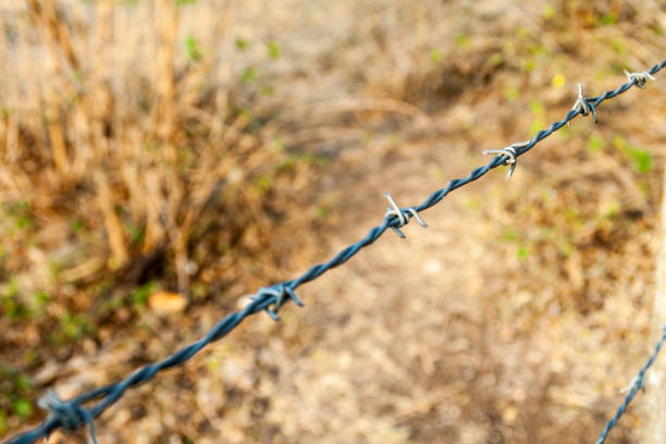 Detail of a barbed wire