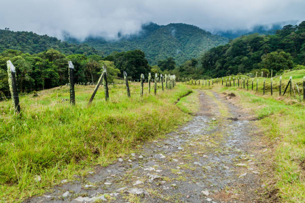 istock Small mountain road between pastures near Boquete, Panam 1311155143