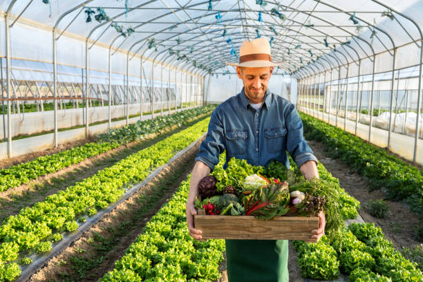 istock Organic grown produce. 1311158611