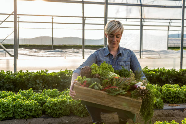 istock Women with crate of vehetables. 1311158982