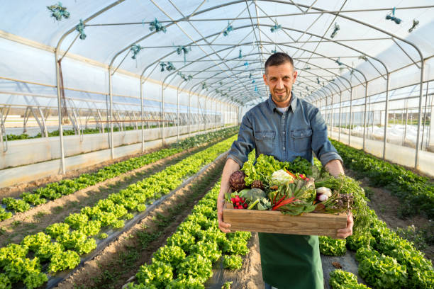 istock Farmer with crate full of vegetables. 1311159100